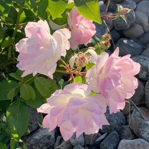 Items under 10 bundle please!